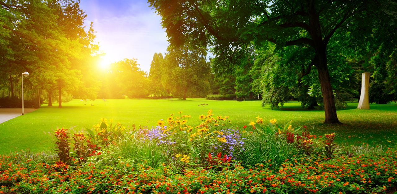 summer-park-with-beautiful-flowerbeds
